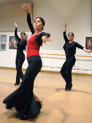 Danza Flamenca de Pro Art